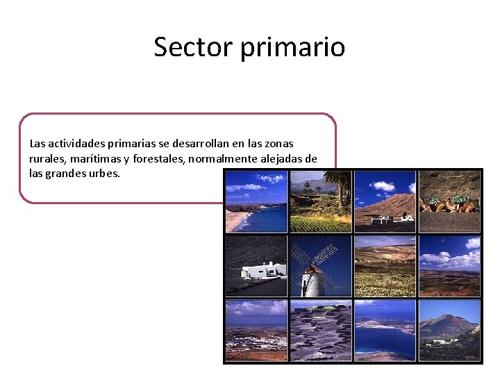 Sector primario Las actividades primarias se desarrollan en las zonas rurales, marítimas y forestales,