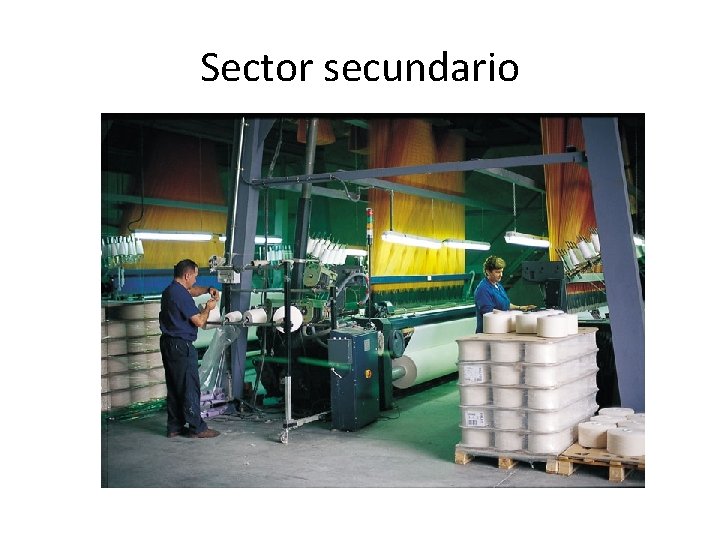 Sector secundario 