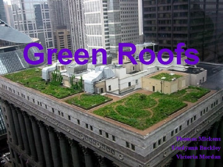 Green Roofs Thomas Mickens Trudyann Buckley Victoria Mordan 