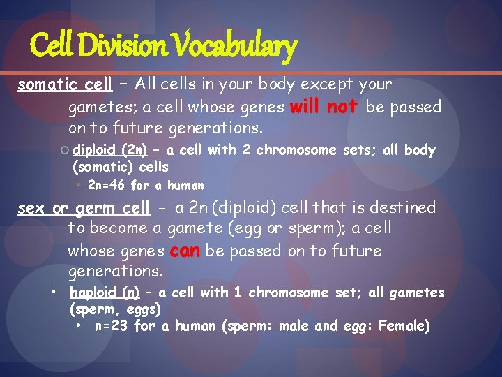 Cell Division Vocabulary somatic cell – All cells in your body except your gametes;