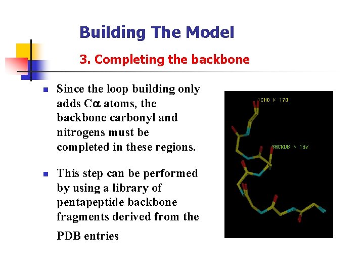 Building The Model 3. Completing the backbone n n Since the loop building only