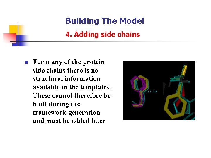 Building The Model 4. Adding side chains n For many of the protein side