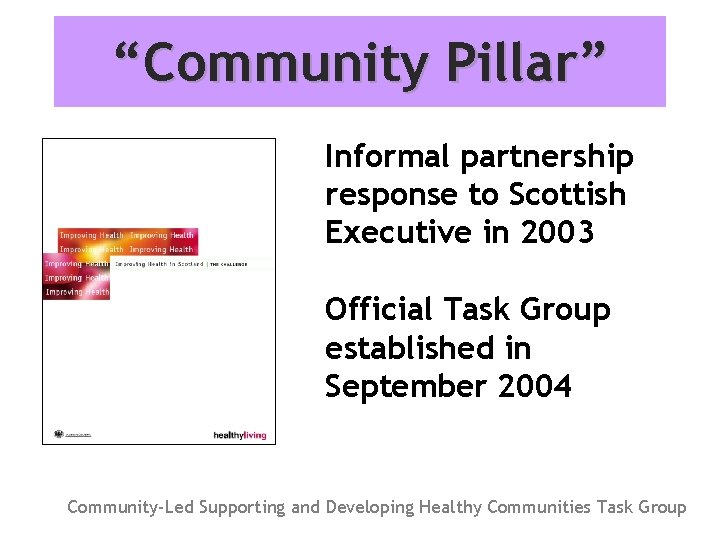 “Community Pillar” Informal partnership response to Scottish Executive in 2003 Official Task Group established