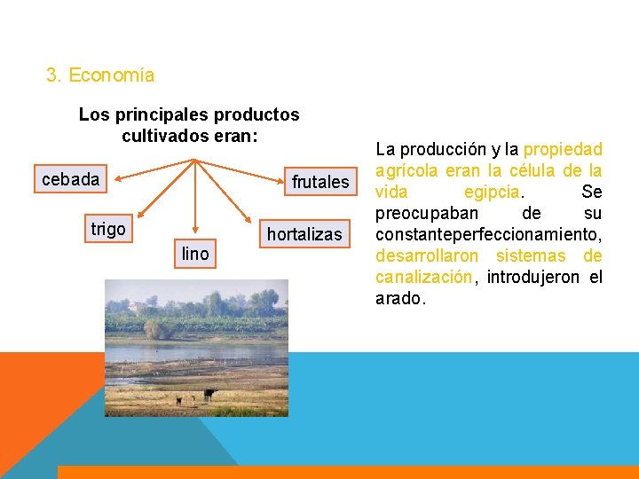 3. Economía Los principales productos cultivados eran: cebada frutales trigo hortalizas lino La producción