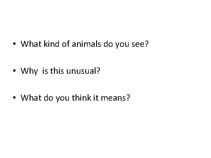  • What kind of animals do you see? • Why is this unusual?