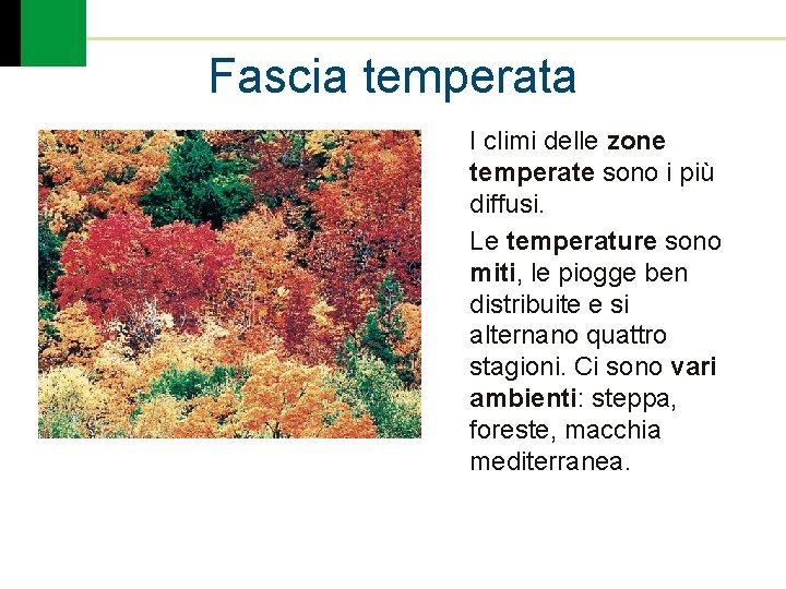 Fascia temperata I climi delle zone temperate sono i più diffusi. Le temperature sono