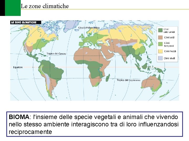 Le zone climatiche BIOMA: l'insieme delle specie vegetali e animali che vivendo nello stesso