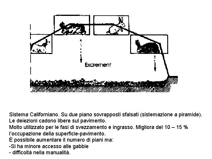 Sistema Californiano. Su due piano sovrapposti sfalsati (sistemazione a piramide). Le deiezioni cadono libere