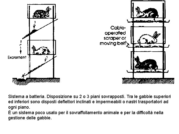 Sistema a batteria. Disposizione su 2 o 3 piani sovrapposti. Tra le gabbie superiori