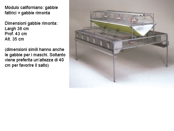 Modulo californiano: gabbie fattrici + gabbie rimonta Dimensioni gabbie rimonta: Largh 38 cm Prof.