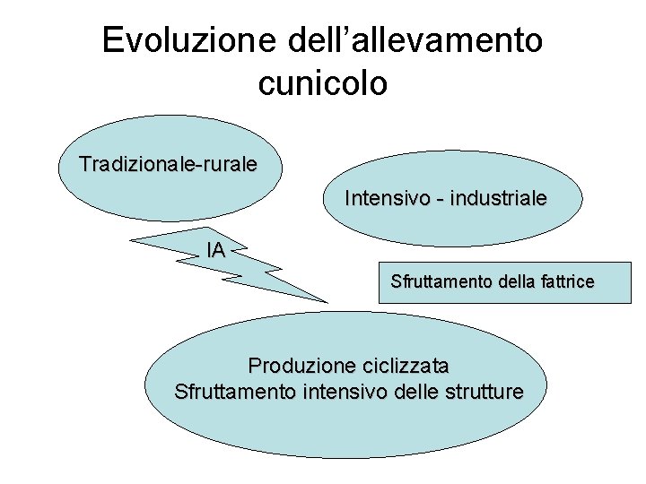 Evoluzione dell’allevamento cunicolo Tradizionale-rurale Intensivo - industriale IA Sfruttamento della fattrice Produzione ciclizzata Sfruttamento