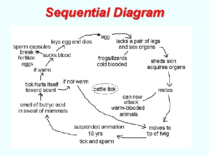 Sequential Diagram 