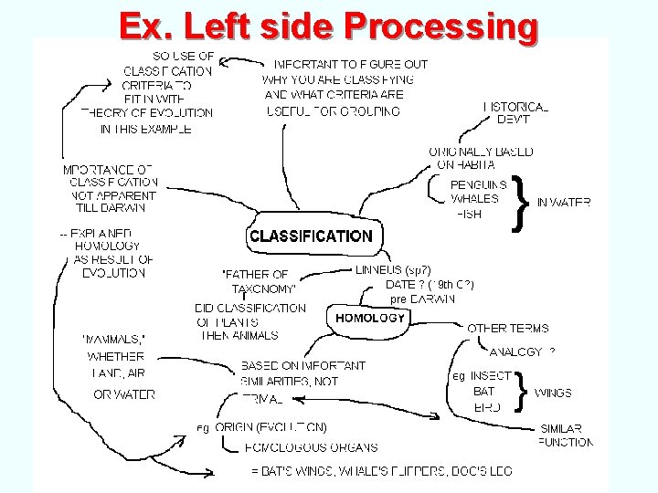 Ex. Left side Processing 