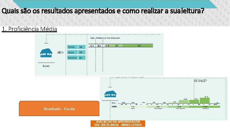 Quais são os resultados apresentados e como realizar a sua leitura? 1. Proficiência Média
