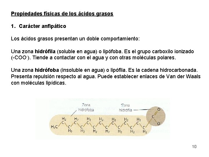 Propiedades físicas de los ácidos grasos 1. Carácter anfipático Los ácidos grasos presentan un