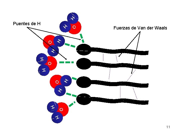 H Fuerzas de Van der Waals H O H Puentes de H H O