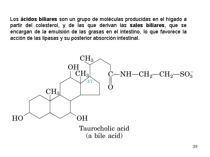 Los ácidos biliares son un grupo de moléculas producidas en el hígado a partir