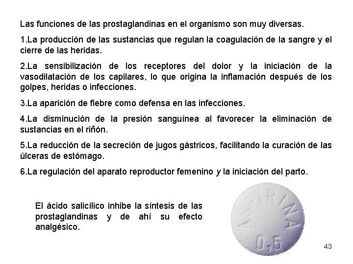 Las funciones de las prostaglandinas en el organismo son muy diversas. 1. La producción