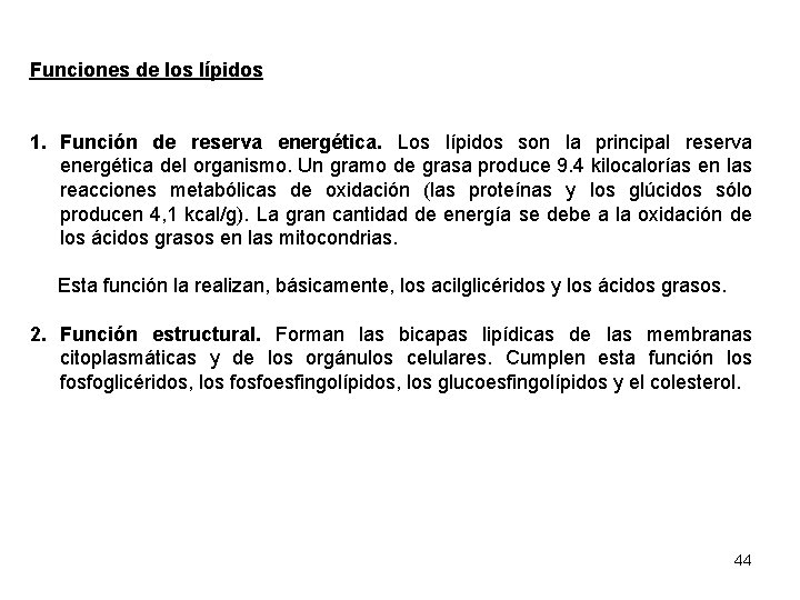 Funciones de los lípidos 1. Función de reserva energética. Los lípidos son la principal