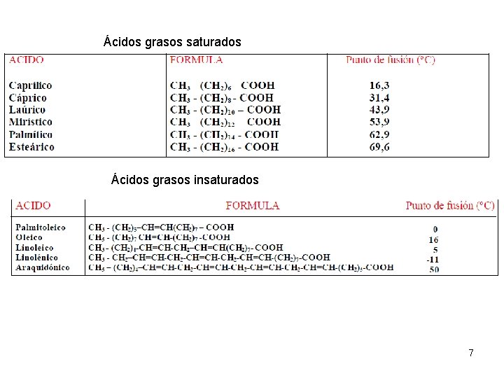 Ácidos grasos saturados Ácidos grasos insaturados 7 