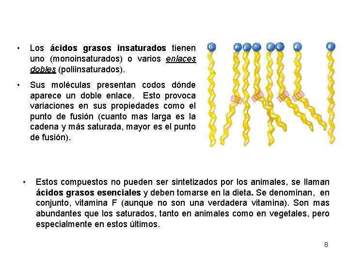  • Los ácidos grasos insaturados tienen uno (monoinsaturados) o varios enlaces dobles (poliinsaturados).