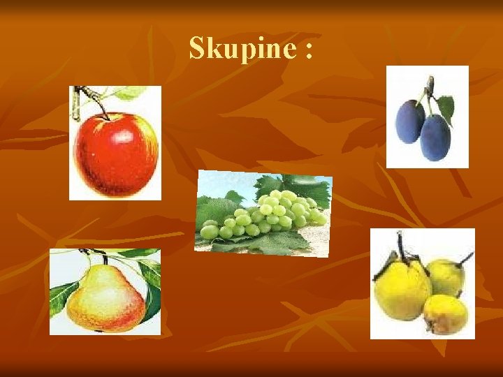 Skupine : 