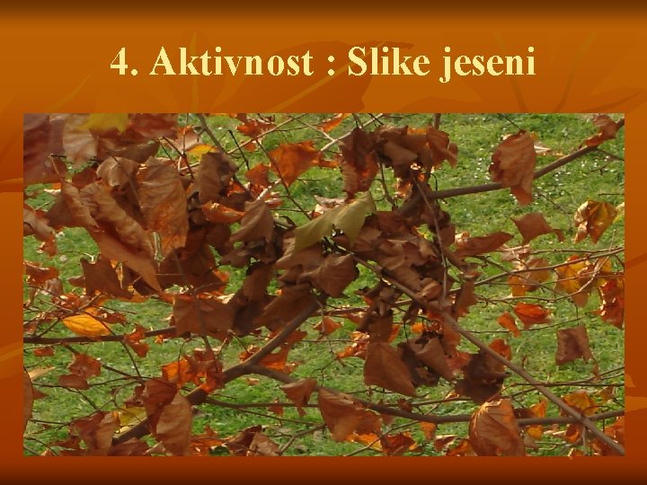 4. Aktivnost : Slike jeseni 