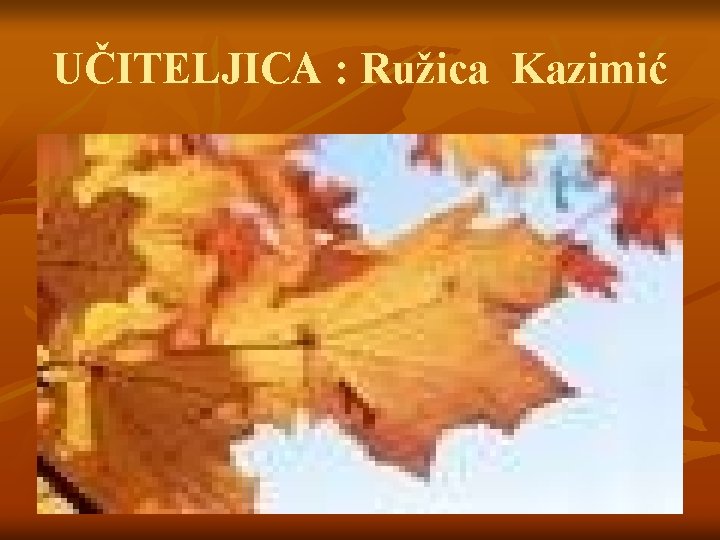 UČITELJICA : Ružica Kazimić 