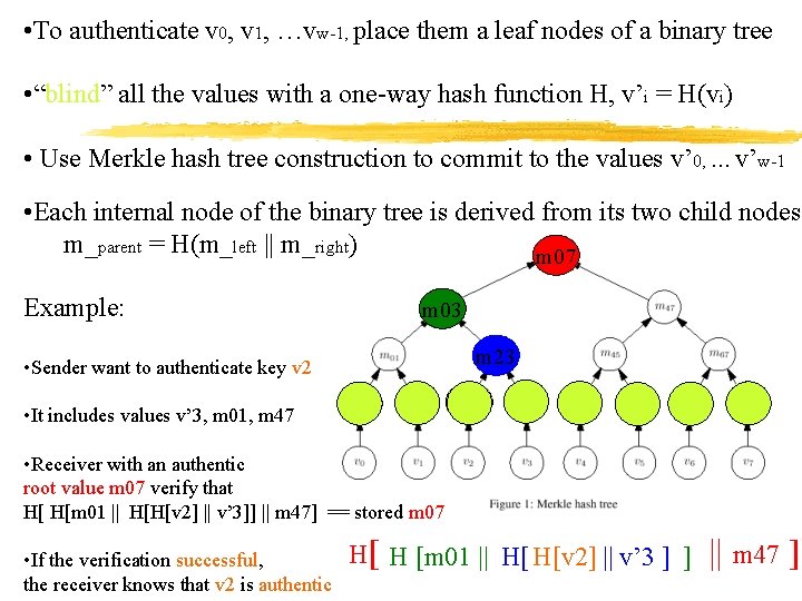  • To authenticate v 0, v 1, …vw-1, place them a leaf nodes