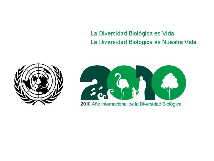 La Diversidad Biológica es Vida La Diversidad Biológica es Nuestra Vida 