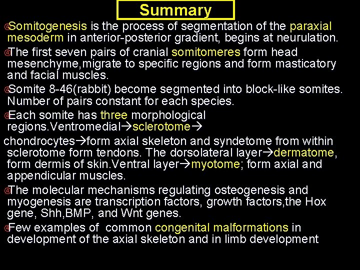  Somitogenesis Summary is the process of segmentation of the paraxial mesoderm in anterior-posterior