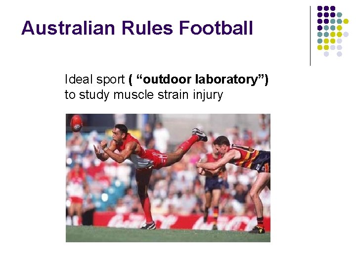 Australian Rules Football Ideal sport ( “outdoor laboratory”) to study muscle strain injury 