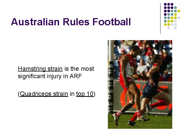 Australian Rules Football Hamstring strain is the most significant injury in ARF (Quadriceps strain