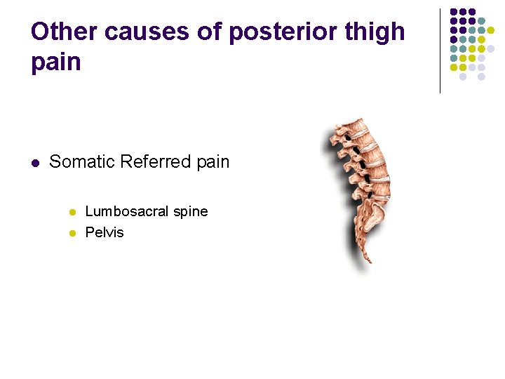 Other causes of posterior thigh pain l Somatic Referred pain l l Lumbosacral spine