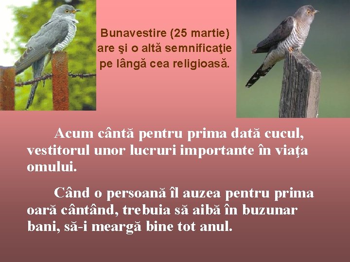 Bunavestire (25 martie) are şi o altă semnificaţie pe lângă cea religioasă. Acum cântă