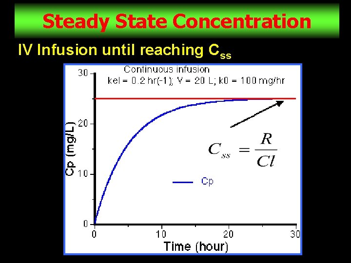 Steady State Concentration IV Infusion until reaching Css 7 