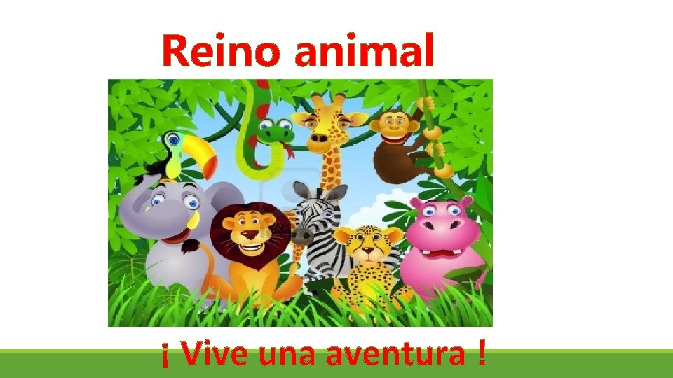 Reino animal ¡ Vive una aventura ! 