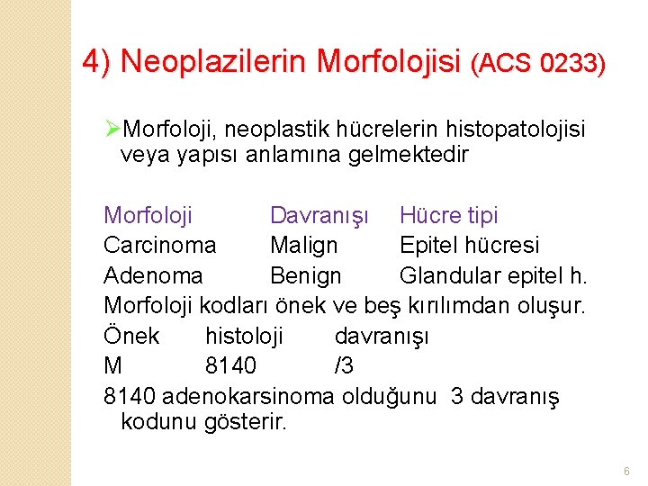 4) Neoplazilerin Morfolojisi (ACS 0233) ØMorfoloji, neoplastik hücrelerin histopatolojisi veya yapısı anlamına gelmektedir Morfoloji