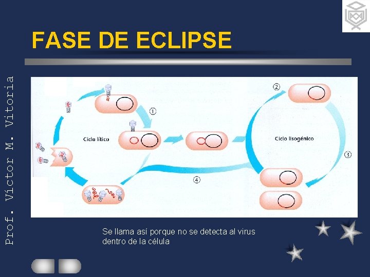 Prof. Víctor M. Vitoria FASE DE ECLIPSE Se llama así porque no se detecta