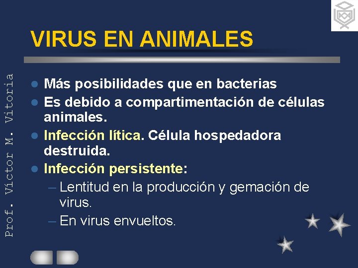 Prof. Víctor M. Vitoria VIRUS EN ANIMALES Más posibilidades que en bacterias l Es