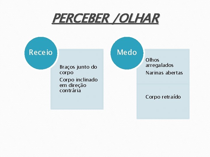 PERCEBER /OLHAR Receio Medo Braços junto do corpo Corpo inclinado em direção contrária Olhos