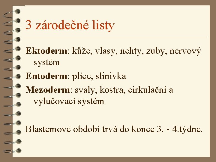 3 zárodečné listy Ektoderm: kůže, vlasy, nehty, zuby, nervový systém Entoderm: plíce, slinivka Mezoderm: 3 zárodečné listy Ektoderm: kůže, vlasy, nehty, zuby, nervový systém Entoderm: plíce, slinivka Mezoderm: