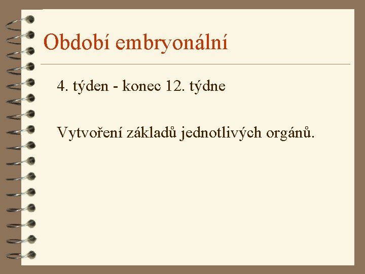 Období embryonální 4. týden - konec 12. týdne Vytvoření základů jednotlivých orgánů. 