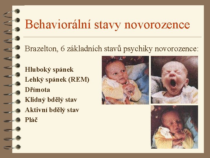 Behaviorální stavy novorozence Brazelton, 6 základních stavů psychiky novorozence: Hluboký spánek Lehký spánek (REM)