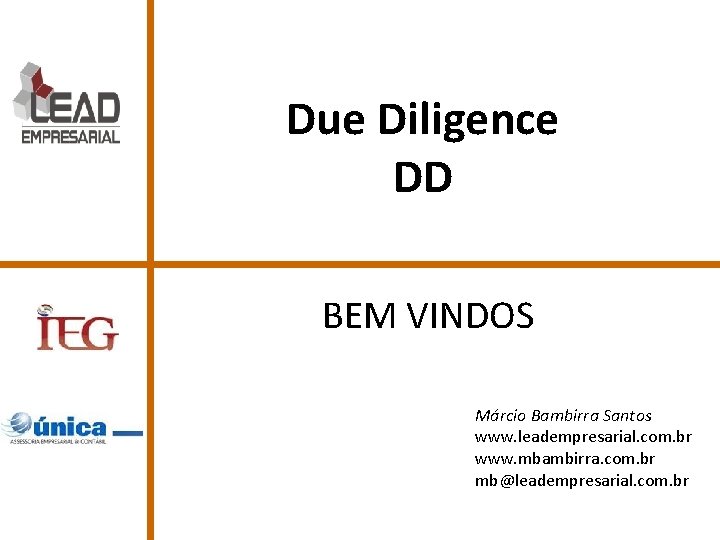 Due Diligence DD BEM VINDOS Márcio Bambirra Santos www. leadempresarial. com. br www. mbambirra.