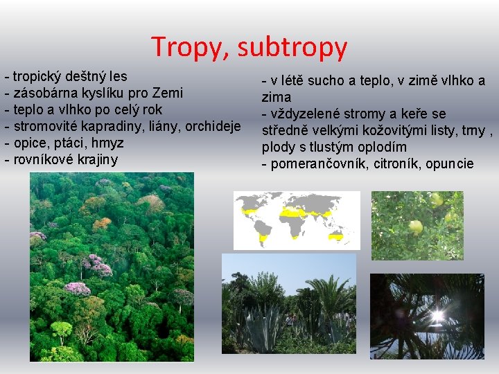 Tropy, subtropy - tropický deštný les - zásobárna kyslíku pro Zemi - teplo a Tropy, subtropy - tropický deštný les - zásobárna kyslíku pro Zemi - teplo a