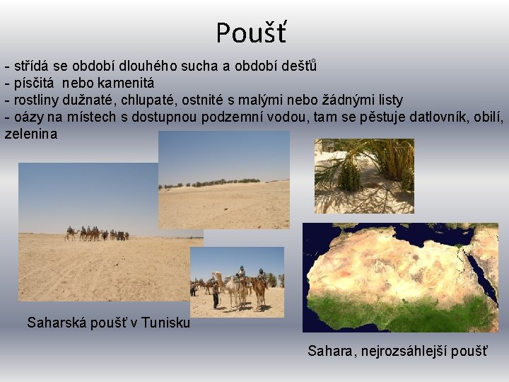 Poušť - střídá se období dlouhého sucha a období dešťů - písčitá nebo kamenitá