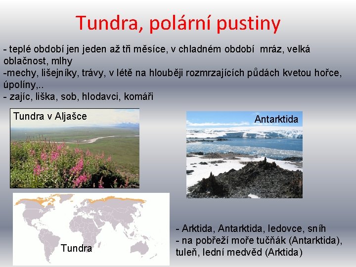 Tundra, polární pustiny - teplé období jen jeden až tři měsíce, v chladném období