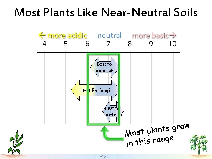 Most Plants Like Near-Neutral Soils Best for minerals Best for fungi Best for bacteria