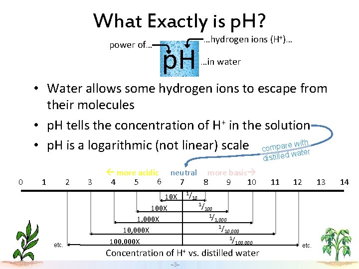 What Exactly is p. H? power of… p. H …hydrogen ions (H+)… …in water